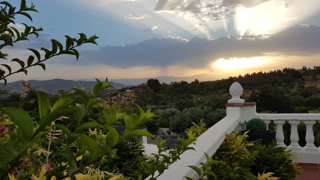 Alhaurín el Grande Finca Rayo Del Sol المظهر الخارجي الصورة