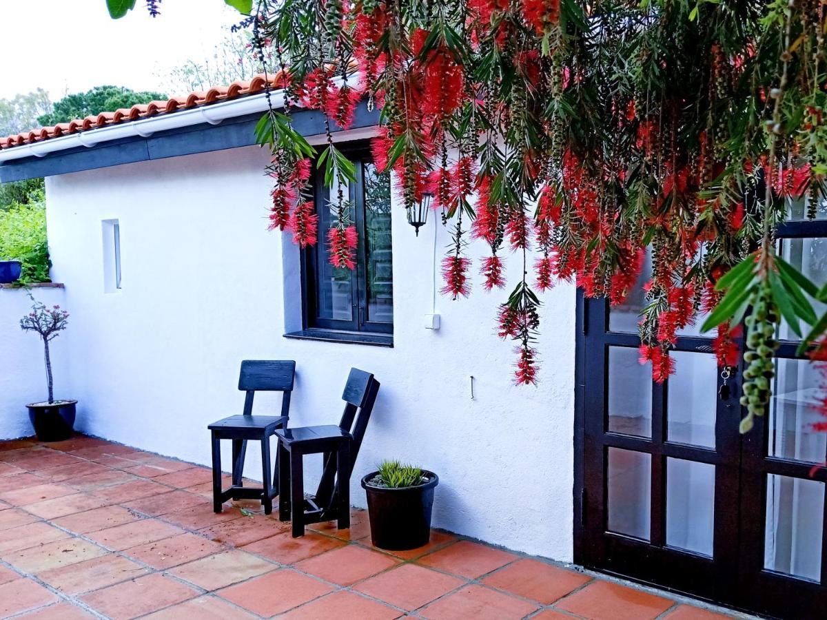 Alhaurín el Grande Finca Rayo Del Sol المظهر الخارجي الصورة