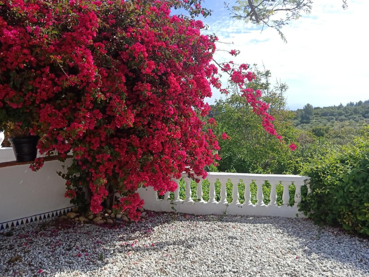 Alhaurín el Grande Finca Rayo Del Sol المظهر الخارجي الصورة