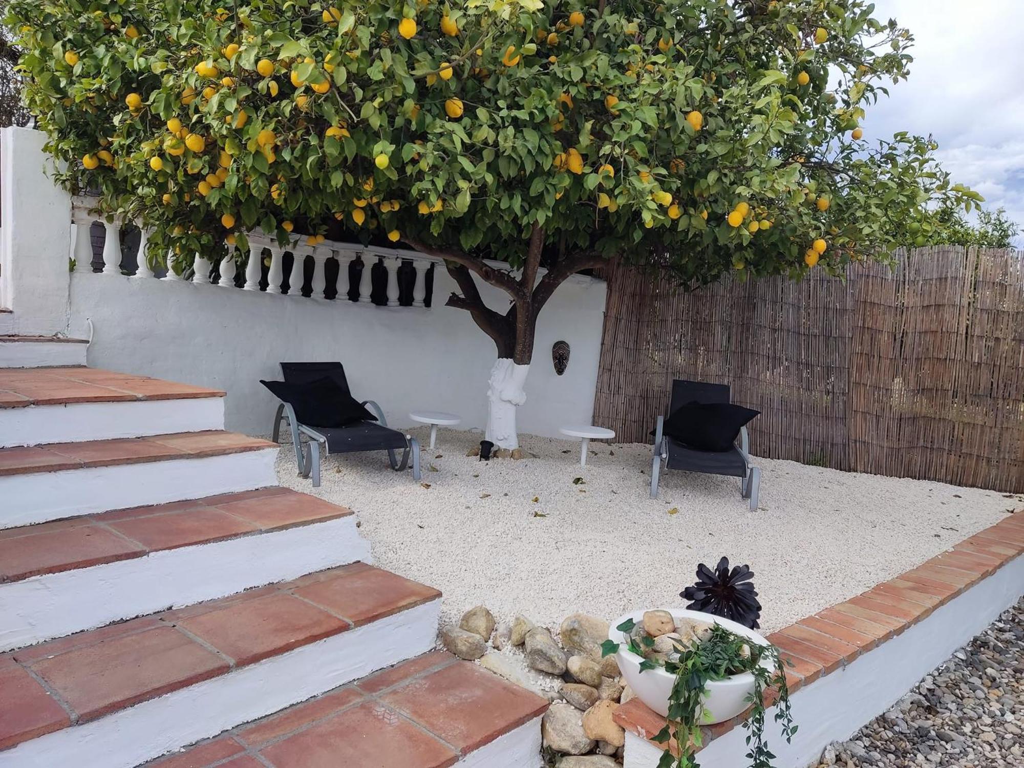 Alhaurín el Grande Finca Rayo Del Sol المظهر الخارجي الصورة