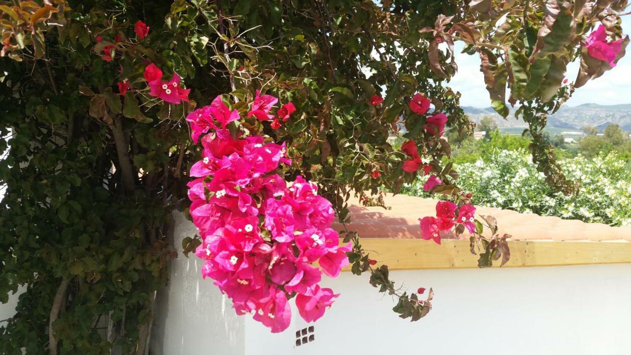 Alhaurín el Grande Finca Rayo Del Sol المظهر الخارجي الصورة